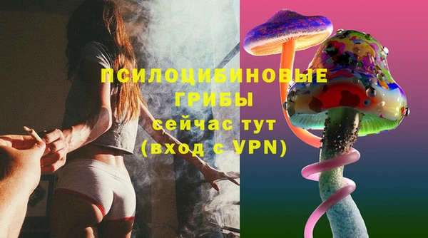 ECSTASY Юрьев-Польский