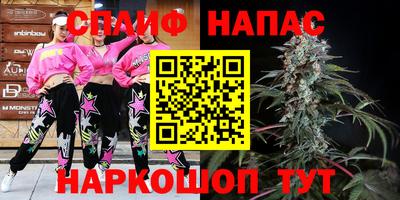 гашик Жуковский