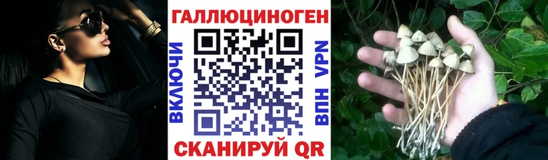 Галлюциногенные грибы Psilocybine cubensis магазин продажи наркотиков Новодвинск