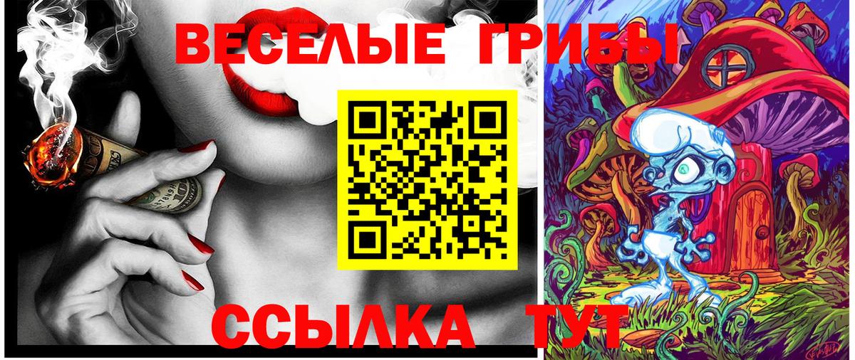 Новодвинск  Псилоцибиновые грибы Psilocybe  Вход с VPN 