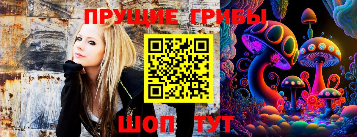 Галлюциногенные грибы Psilocybe Новодвинск