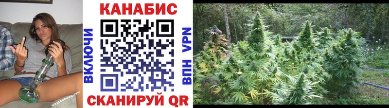 Марихуана SATIVA & INDICA  Новодвинск 